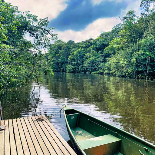Guiana have an intermittent electricity supply