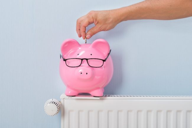 Home Energy Consultant CLPM
