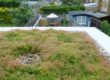 Considerations for a green renovation