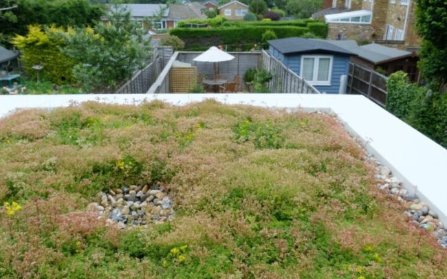 Considerations for a green renovation