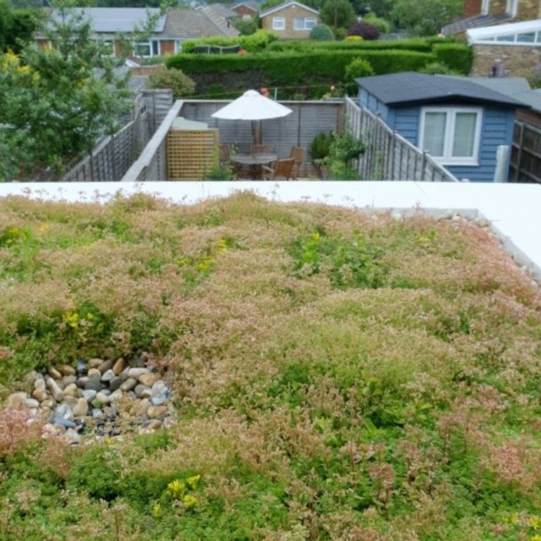 Considerations for a green renovation