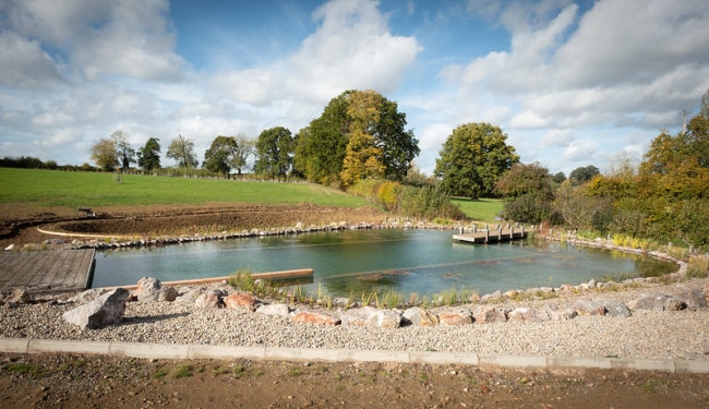 Swimming pond