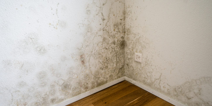 Mould damp and condensation